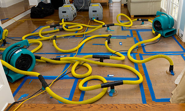 Professional Crawl Space Water Removal technician working in Union City, PA